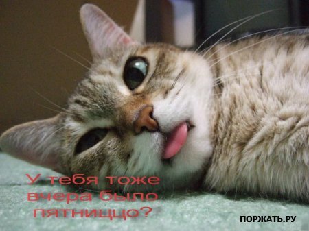 Навеяло... Девушки за рулем. Внутри...
