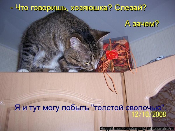 Если ваш любимчик нахулиганил, где ищете его? Куда обычно прячется? :)