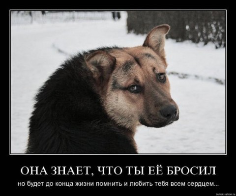 Бросили и любовь