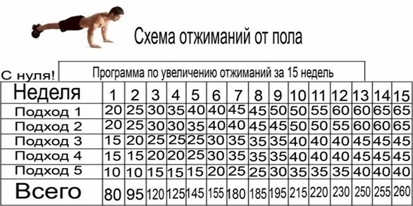 правильный ли комплекс!?? отжимания!!!