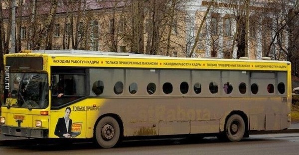 Часто ли вам попадался действительно заботливый водитель общественного транспорта?)))