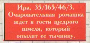 Много ли налетит шмелей? СМ. ВНУТРЯХ...