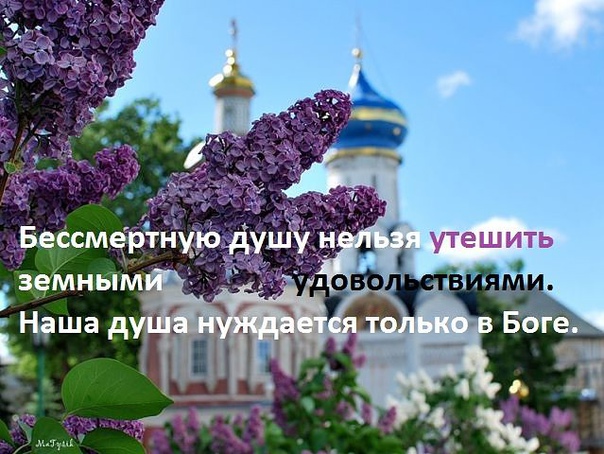 Св.куполов весенний вид-где-чем значимо?..