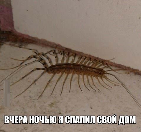 Что это за хрень!