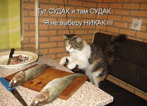 из двух зол выбирают лушее... а вот как с добром быть??? +++фото