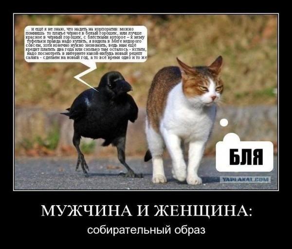 Поговорим? >>>