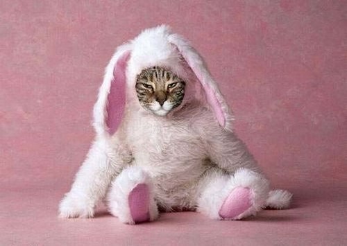 ну... третьего именинника ждёте??? (см. дальше)