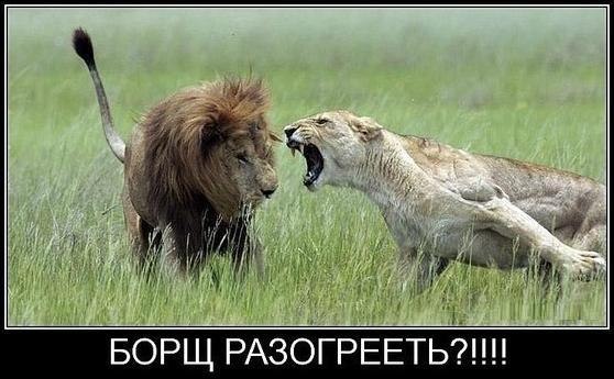 ....Девочки, а вы всегда ласковы и нежны с вашим МУЖЕМ?))))))
