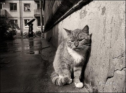 Почему нас выбрасывают на улицу? См. фото...