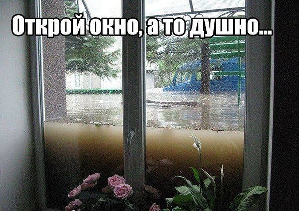 Дальний Восток. Откуда там столько воды? Дождей ведь не было...