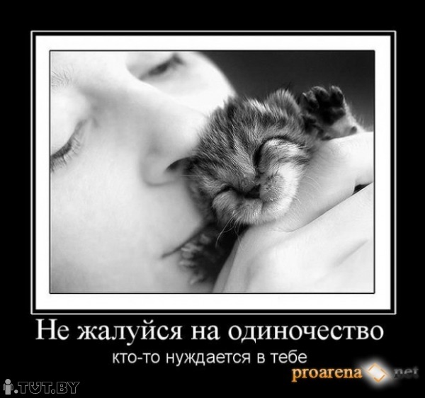 А кто из ваших ДОМАШНИХ любимцев ОСОБЕННО ждет тебя ???