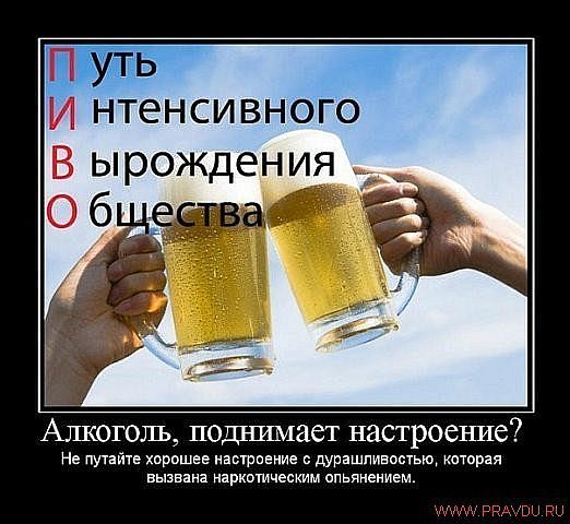 Общество в России деградирует... Что Вы готовы сделать, чтобы это остановить?