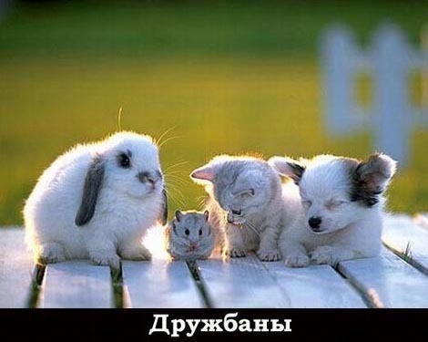 Каким должен быть Тот человек, которого Вы называете Другом? (см. вн.)