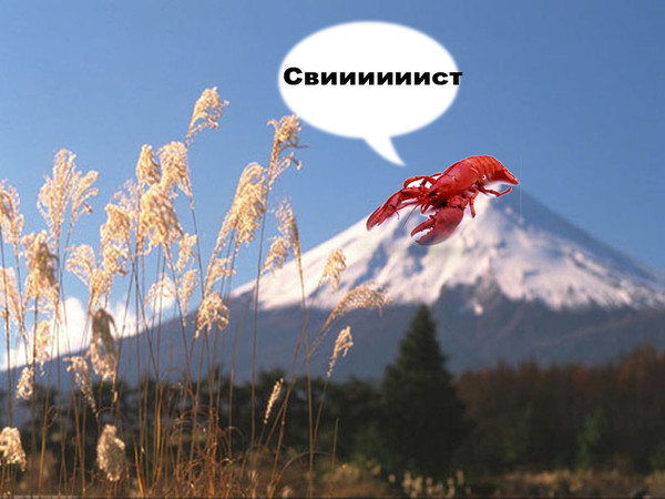 Рак На Горе Свистит Фото Рак На Горе Свистит Фото