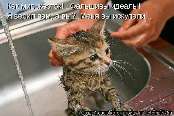 Работа с собаками